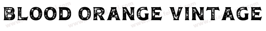 Blood Orange Vintage Serif字体转换